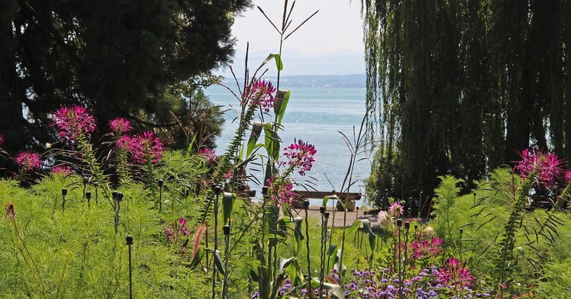 Île de Mainau : que voir et que faire sur l’île aux fleurs du lac de Constance ?