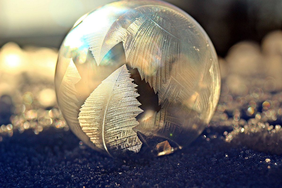 Pourquoi dormir dans une bulle transparente en pleine nature ?