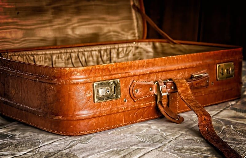 valise