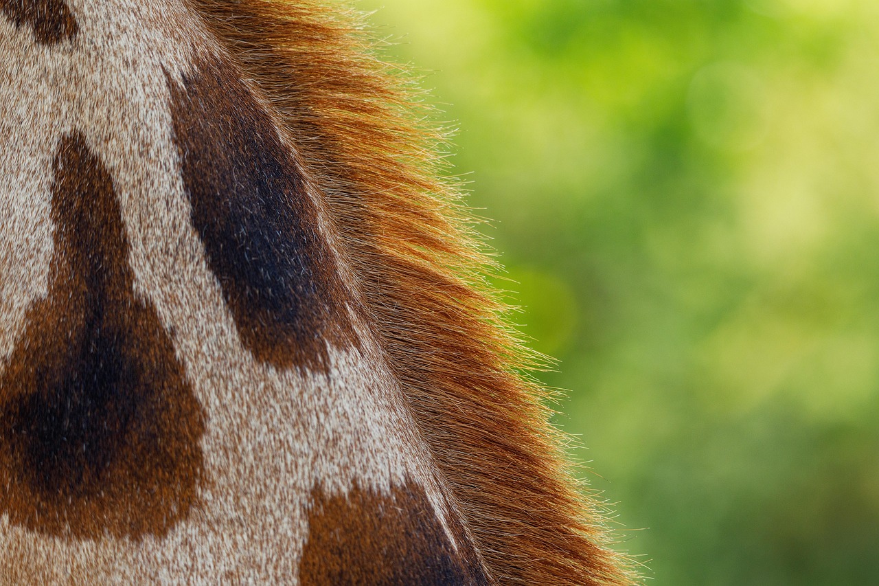 Comment surmonter sa peur de voyager seul pour la première fois ?