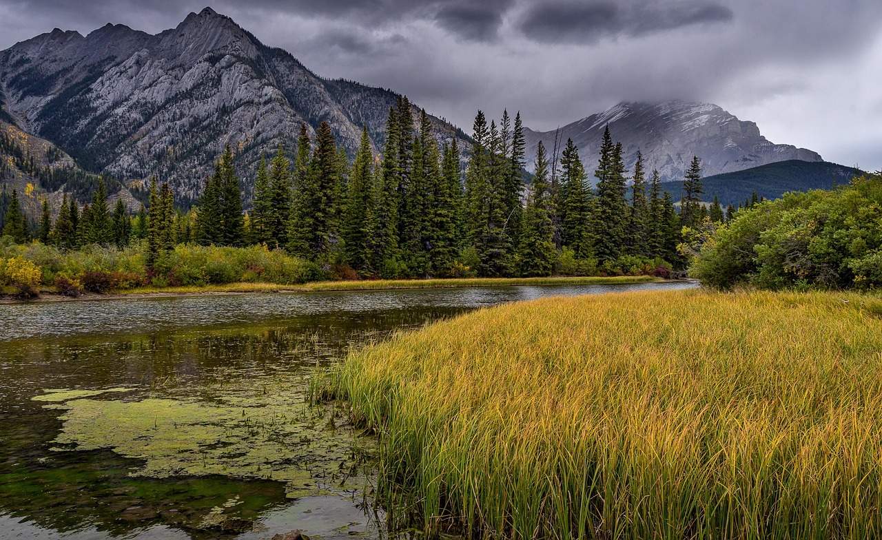 découvrez la beauté des parcs nationaux, véritables joyaux naturels offrant des paysages époustouflants, une biodiversité riche et des aventures inoubliables au cœur de la nature.
