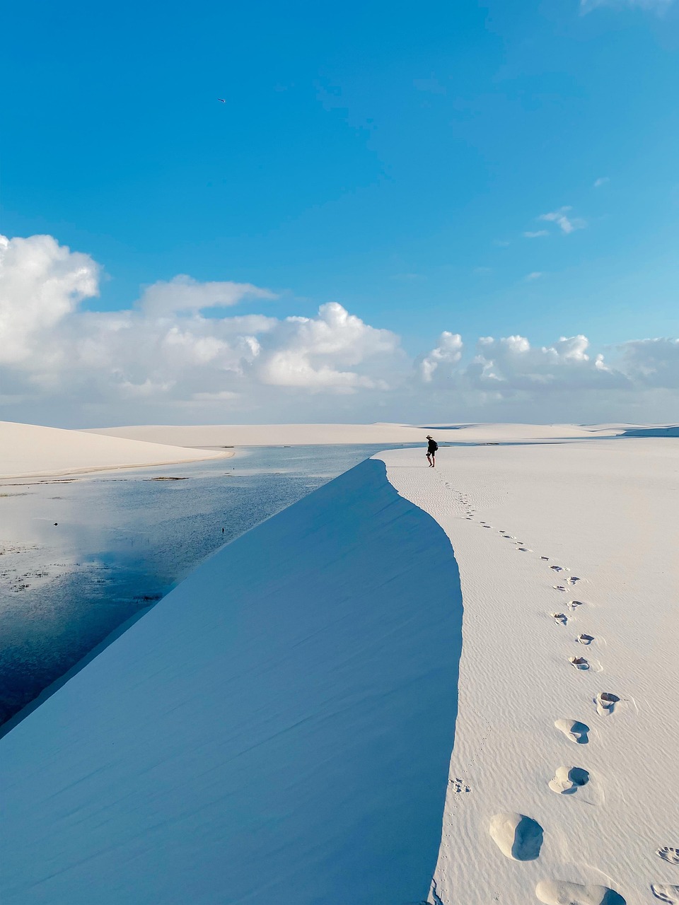 découvrez la beauté naturelle des parcs nationaux, des espaces préservés offrant des paysages époustouflants, une biodiversité riche et des activités de plein air inoubliables. explorez la faune et la flore uniques tout en vous immergeant dans la tranquillité de la nature.