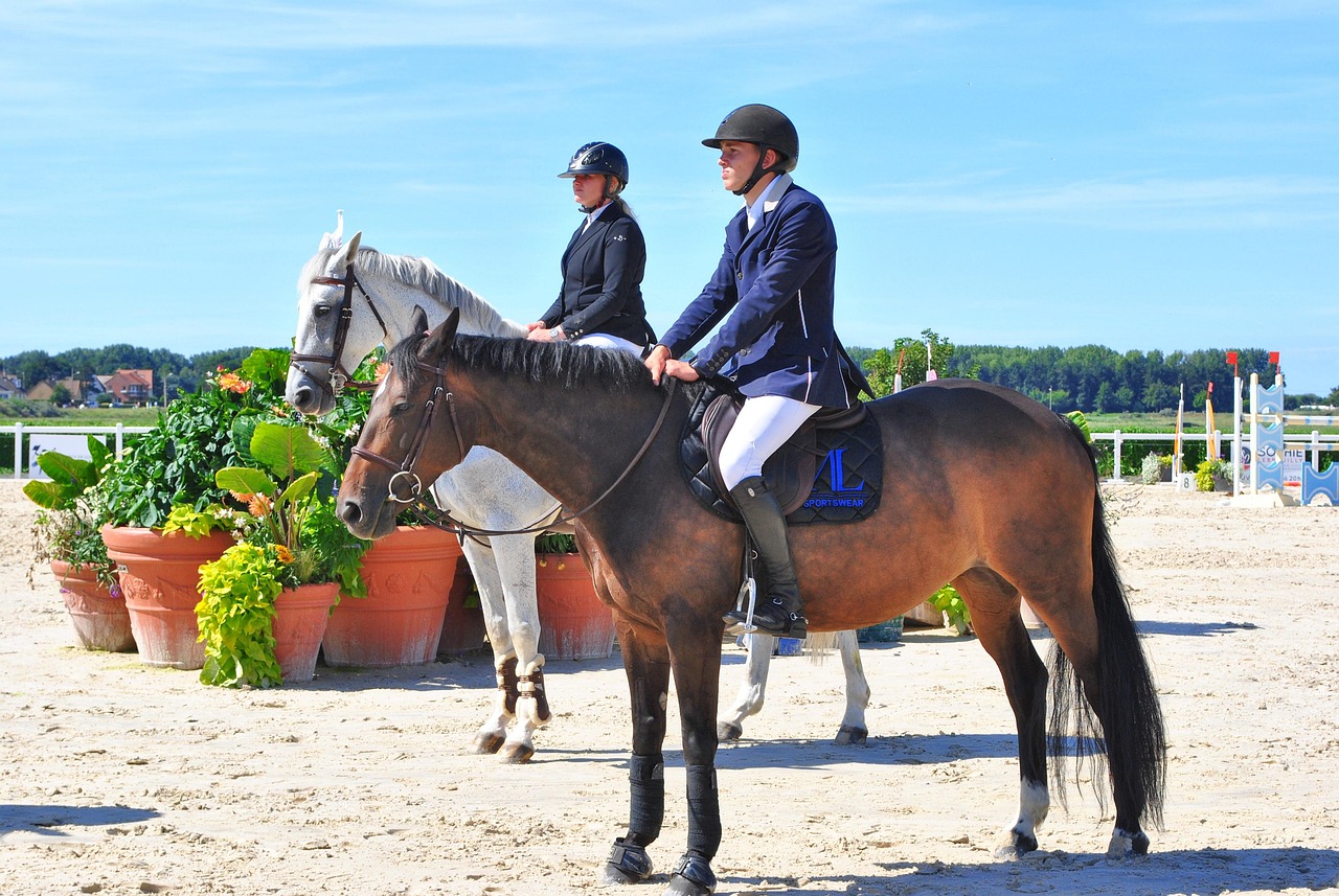 découvrez des escapades de week-end insolites en france pour une expérience unique loin des sentiers battus.