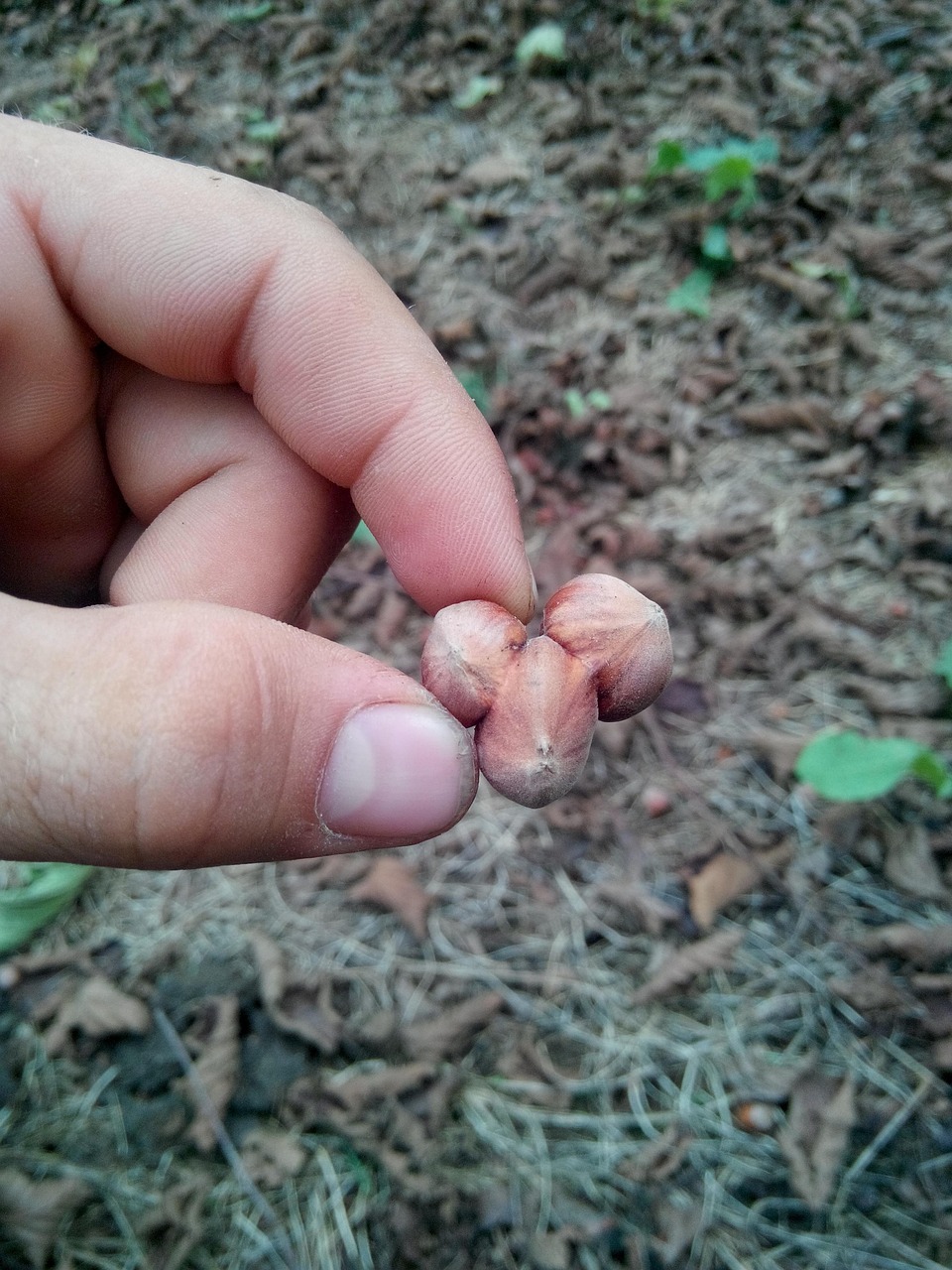 découvrez des astuces pratiques pour trouver des vols pas chers et économiser sur vos billets d'avion. conseils simples et efficaces pour voyager à petit prix.