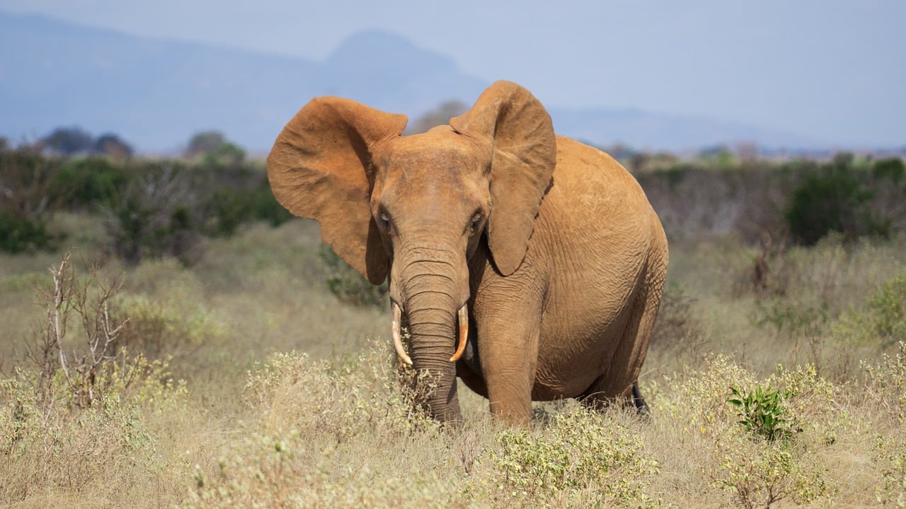 découvrez l'écotourisme, une approche de voyage responsable qui favorise la protection de l'environnement et le respect des communautés locales tout en explorant la nature.