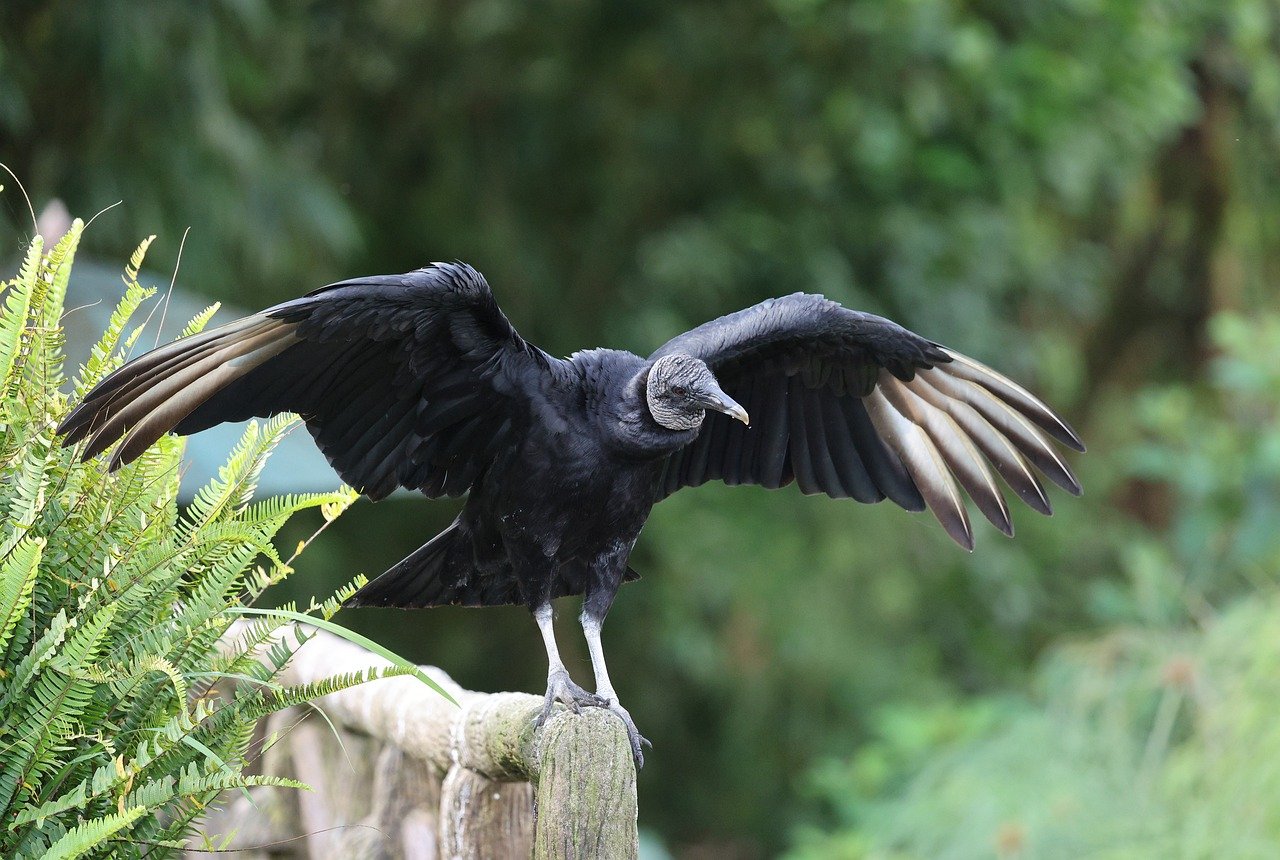 découvrez l'écotourisme, un voyage responsable et durable qui valorise la protection de l'environnement et la découverte des cultures locales.